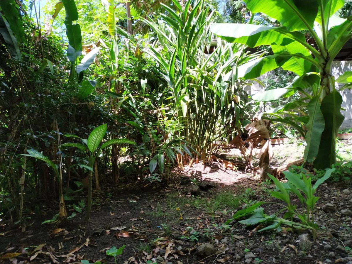 Villa Koule Bo Kay Le Carbet Exterior foto